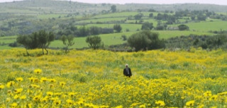 Production Images 7 - Dale Hildebrand